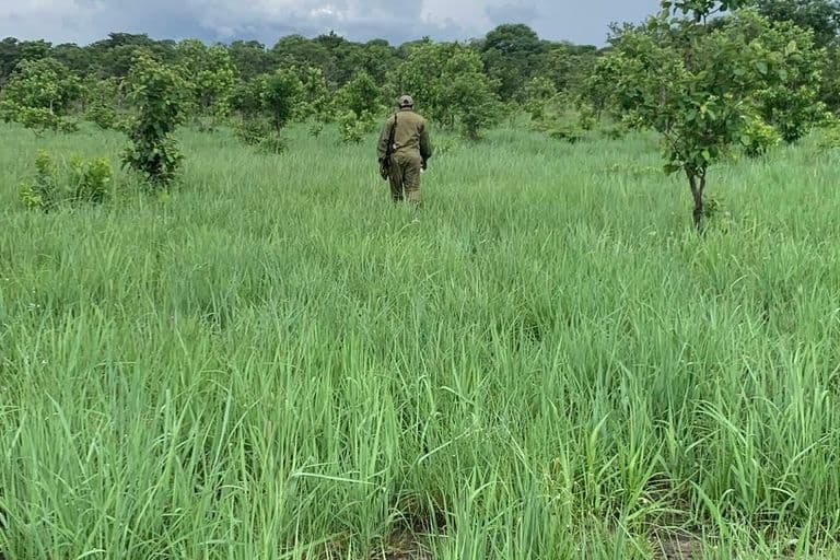 survey team in the field