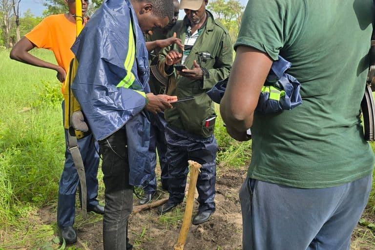 Surveyor with gnss receiver in the field